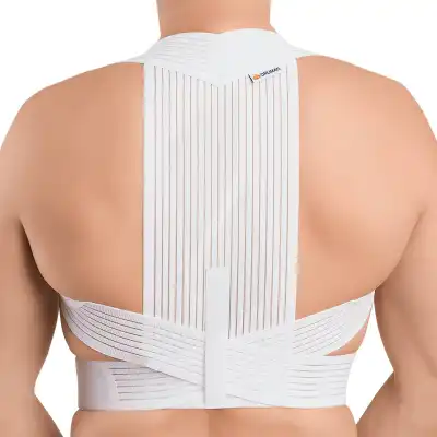 Orliman Dorso Lead Correcteur de posture Taille 2 B/1
