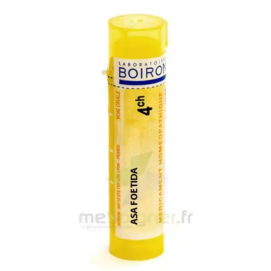 Boiron Asa Foetida 4ch Granules Tube De 4g