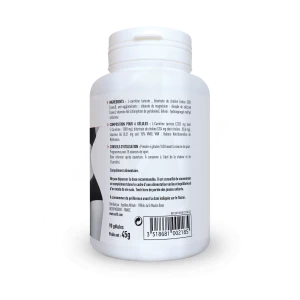 Eafit Pure L-carnitine 2g Gélules Pilulier/90