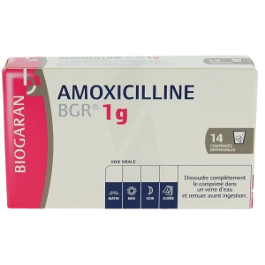 Amoxicilline Bgr 1 G, Comprimé Dispersible
