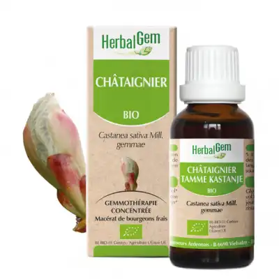Herbalgem Châtaignier Macérat Bio Fl Compte Gouttes/30ml à TOULON
