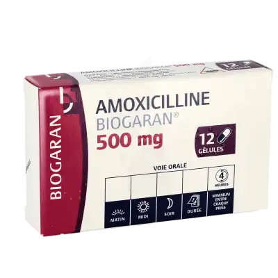 AMOXICILLINE BIOGARAN 500 mg, gélule