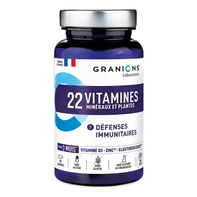 Granions 22 Vitamines Minéraux Et Plantes Comprimés B/90 à  NICE