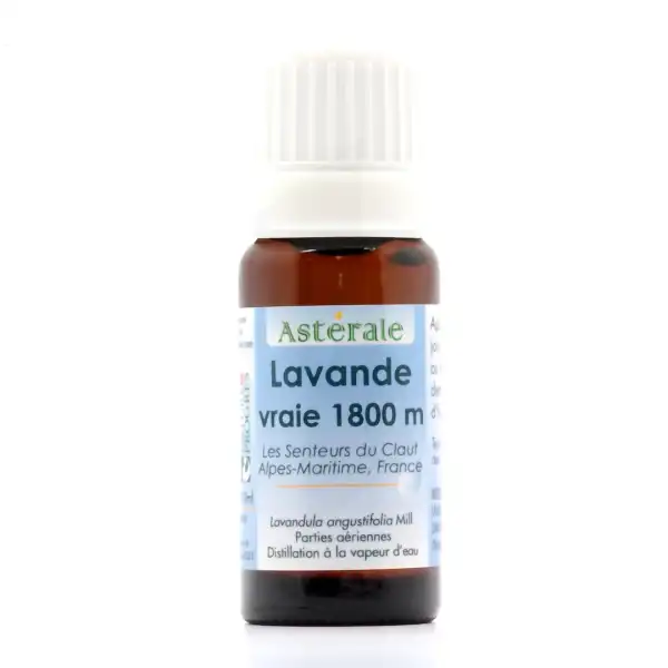 Huile Essentielle Lavande Vraie 1800m _ 5ml