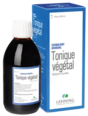 Lehning Tonique Vegetal Solution Buvable Fl/250ml à Clamart
