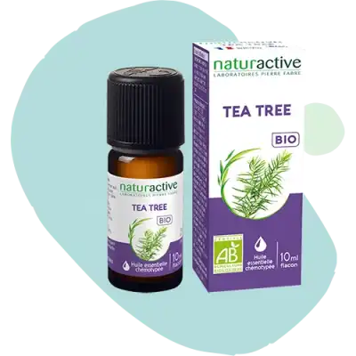 Naturactive Huile Essentielle Bio Tea Tree Fl/10ml à La-Mure