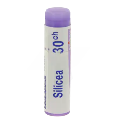Boiron Silicea 30ch Globules Dose De 1g à Blaye