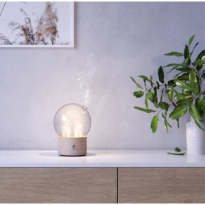 Pranarôm Diffuseur Bulle Bois Et Verre
