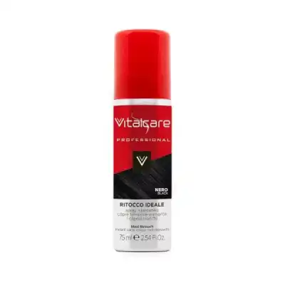 Lcdt Sprays Retouche Racine Noir à PRUNELLI-DI-FIUMORBO
