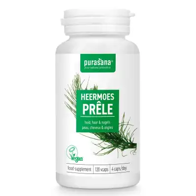 Purasana Prêle 250mg Gélules B/120 à Pont à Mousson