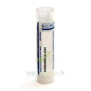 Boiron Hamamelis 4dh Granules Tube De 4g