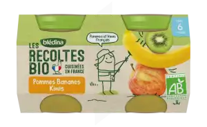 Blédina Les Récoltes Bio Pommes Bananes Kiwis 2 Pots/130g à BRUGES