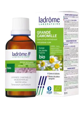 Ladrôme Extrait De Plante Grande Camomille Partie Aérienne Fleurie 50ml à ANGLET