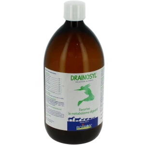 Boiron Drainosyl Solution Buvable Fl/1l