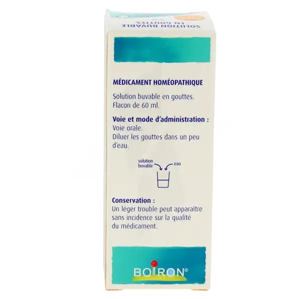 Boiron Rhus Toxicodendron 8dh Solution Buvable En Gouttes Flacon De 60 Ml