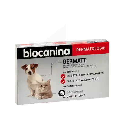 Biocanina Dermatt Comprimés B/20 à CHAMPAGNOLE