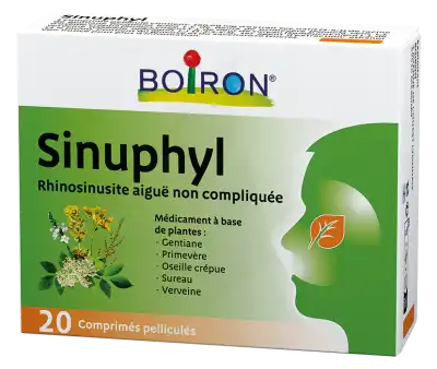 Boiron Sinuphyl Comprimés Pelliculés Plq/20 à Chalon-sur-Saône