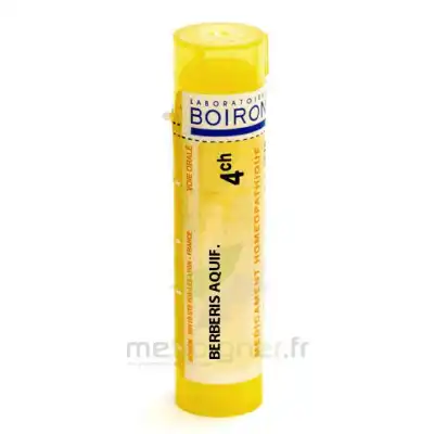 Boiron Berberis Aquifollium 4ch Granules Tube De 4g à Le Teich