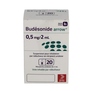 Budesonide Arrow 0,5 Mg/2 Ml, Suspension Pour Inhalation Par Nébuliseur En Récipient Unidose