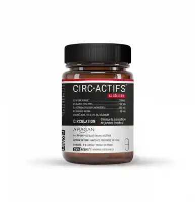 Synactifs Circactifs Gélules B/60 à SEYNOD