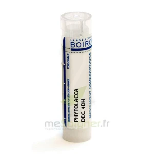 Boiron Phytolacca Dec. 4dh Tube 4g
