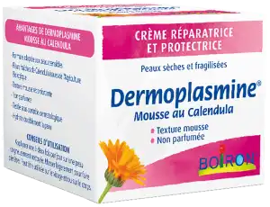 Acheter Boiron Dermoplasmine Mousse au Calendula Pot/20g à Clermont-Ferrand