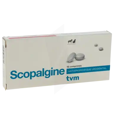 SCOPALGINE 1,38 MG COMPRIMES POUR CHIENS ET CHATS, Comprimé
