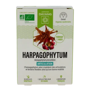 Dayang Phytotherapie Harpagophytum Bio Gél B/30