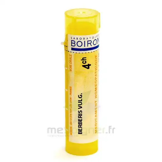 Boiron Berberis Vulgaris 4ch Granules Tube De 4g