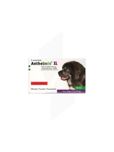 Anthelmin Xl 525/174, 85/175 Mg Comprimes Pour Chiens, Comprimé