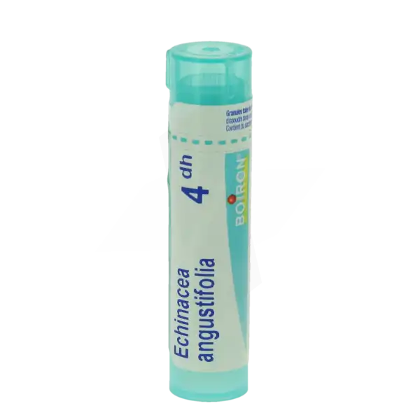 Boiron Echinacea Angustifolia 4dh Granules Tube De 4g