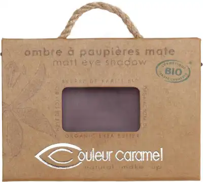 Couleur Caramel Recharge Ombre à Paupières N°050 Vert Bleuté Nacré 1,7g à ODOS