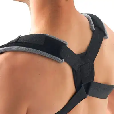 Gibaud  - Blocage Claviculaire - Taille 5 à CANALS