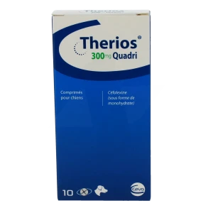 Therios 300 Mg Quadri Comprimes Pour Chien, Comprimé
