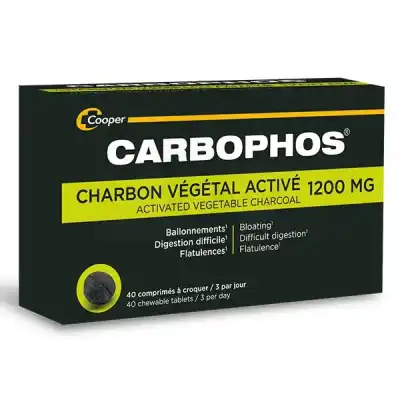 Carbophos Charbon Végétal 1200 Mg Cpr B/40 à SCHOELCHER