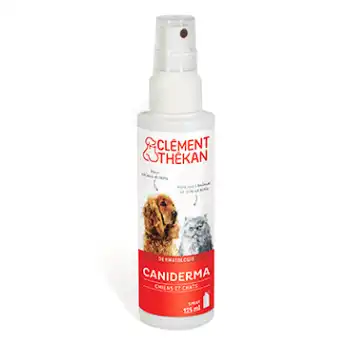 Clément Thékan Caniderma Solution Externe Cicatrisant Spray/125ml à MIRAMONT-DE-GUYENNE