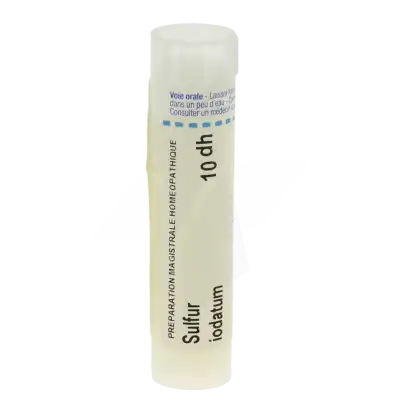 Boiron Sulfur Iodatum 10dh Granules Tube De 4g à Mérignac