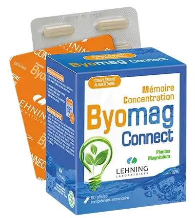 Lehning Byomag Connect Gélules B/60