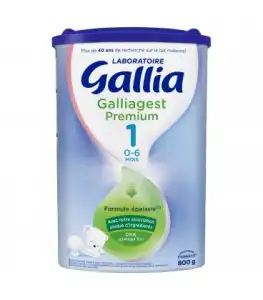 Gallia Galliagest Premium 1 Lait En Poudre B/800g à SAINT-JEAN-DE-LA-RUELLE