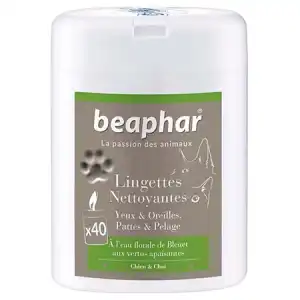 Beaphar Lingettes Nettoyantes Yeux Oreilles Pattes Et Pelage 100 Lingettes à LIVRON-SUR-DROME