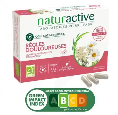 Naturactive Règles Douloureuses Gélules Bio B/30 à Montluçon