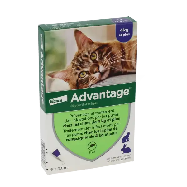 Advantage 80 Pour Chat Et Lapin, Solution Pour Spot-on