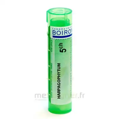Boiron Harpagophytum 5ch Granules Tube De 4g à Annecy