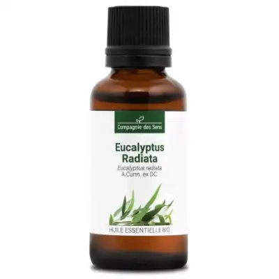 Compagnie Des Sens Huile Essentielle Bio Eucalyptus Radiata Fl/30ml à SARROLA-CARCOPINO
