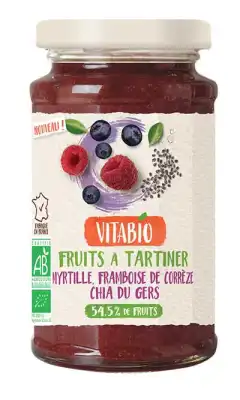 Vitabio Fruits à Tartiner Myrtille Framboise Chia à Serris
