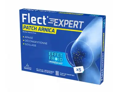 Flect'expert Patch Arnica B/5 à ALES