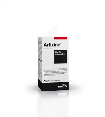 Nhco Nutrition Artixine Gélules Boîte De 56 à Lons