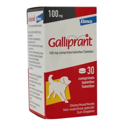 GALLIPRANT 100 MG COMPRIMES POUR CHIENS, Comprimé