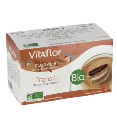 Vitaflor Bio Tisane Transit à Paris