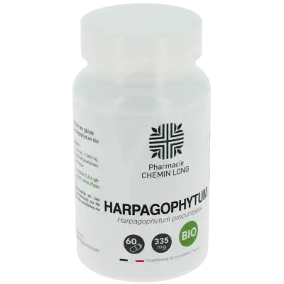 L'herbothicaire Harpagophytum Bio Gélules B/60 à Mérignac